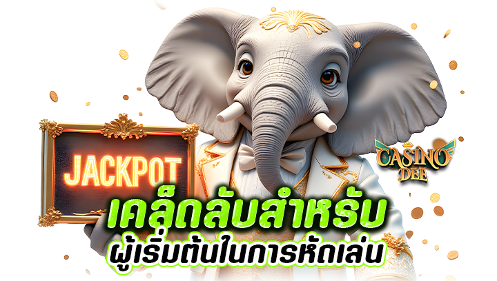 เคล็ดลับสำหรับผู้เริ่มต้น